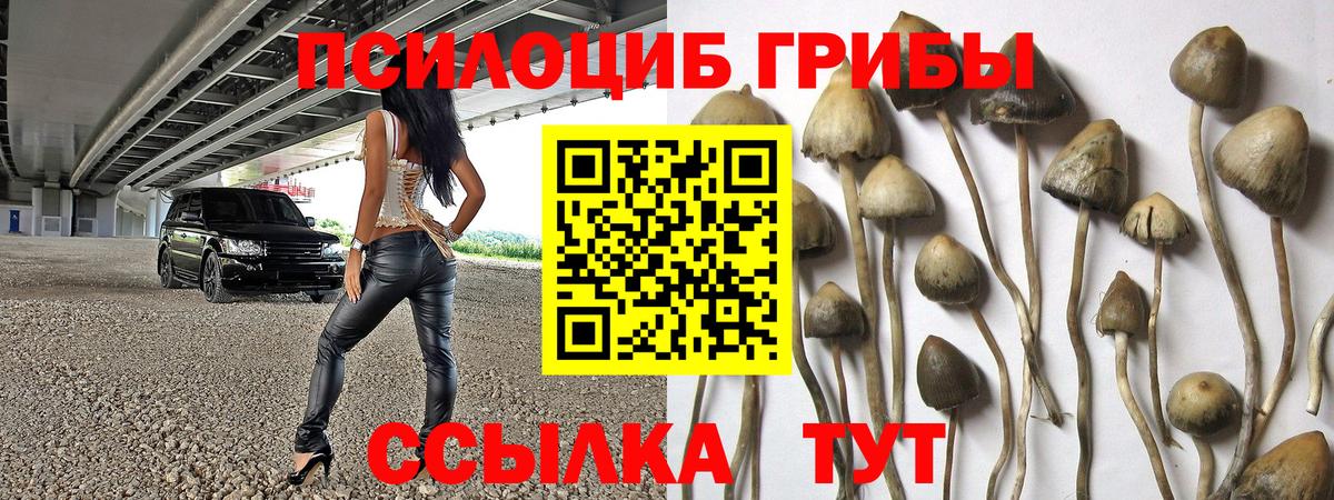 Галлюциногенные грибы ЛСД Павлово